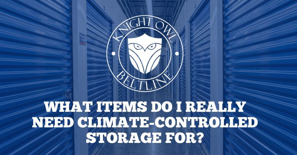 Climate-controlled storage units with protective environment